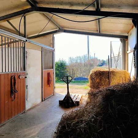 Ca' Raggini Casa vacanze