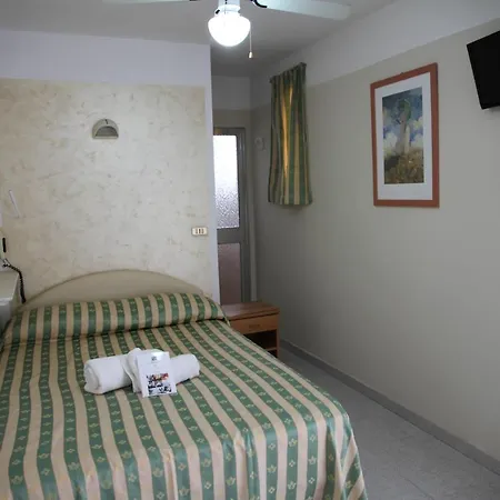 ホテル Adriatica Sul Mare 3*