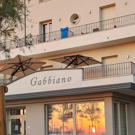 Gabbiano Rimini