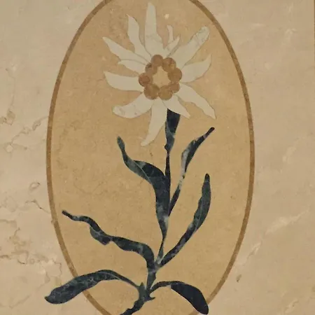Stella Alpina 3* Rimini