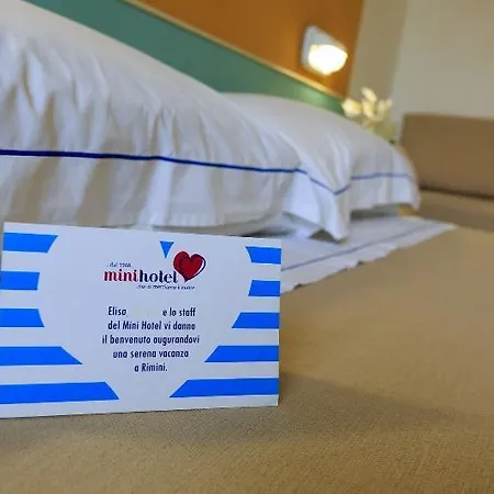 Mini 3*