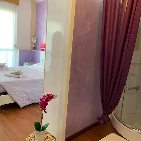 Palma Benessere Hotel Rimini