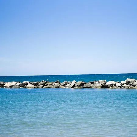 Baldinini