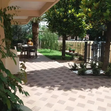Baki * Rimini