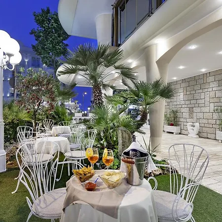 Otel Ariminum 4*