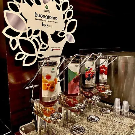 酒店 普林西di皮埃蒙特酒店 3*