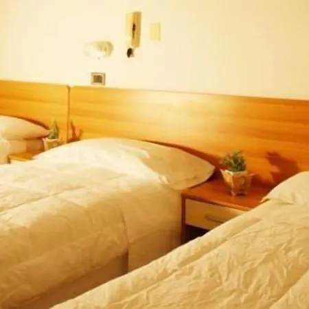 Hotel Zurigo 3*
