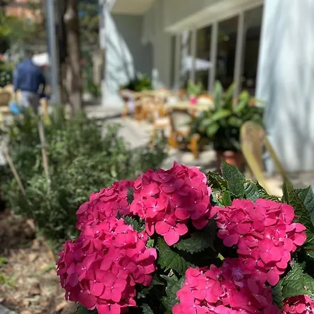 Hotel Capri