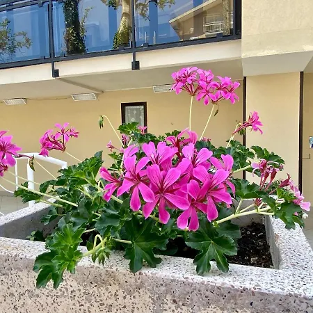 Abay Hotel Rimini