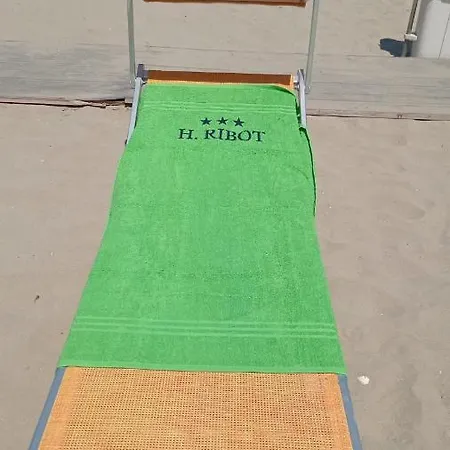 Ribot Hotel 3*