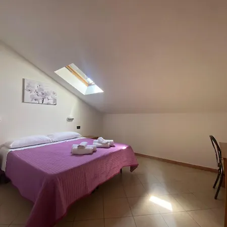Dream Hotel