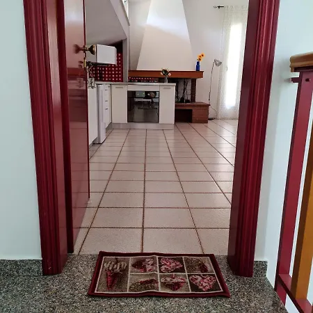 Residenza Gatto Silvestro A 2 Minuti Dal Mare E Dalla Fiera * Rimini