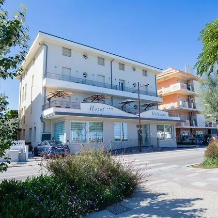 Gabbiano Rimini