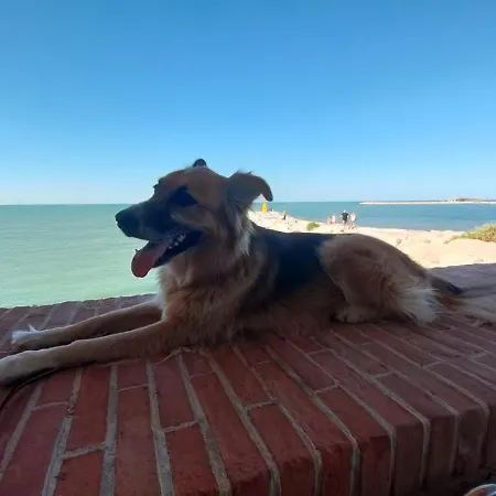 Penzion Frida