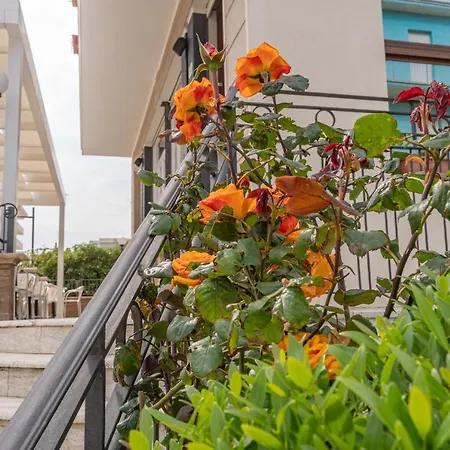 Hotel Greta Rimini