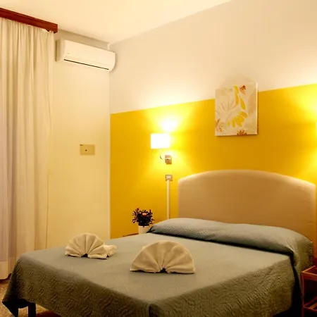 Alfa Anche In Hotell