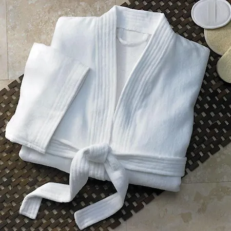 Hotel Berenice Rimini