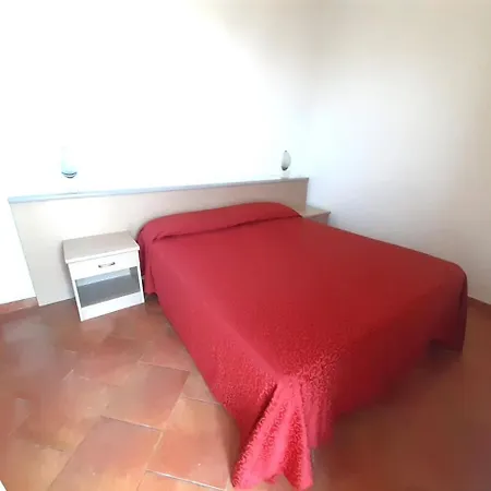 Salsedine 