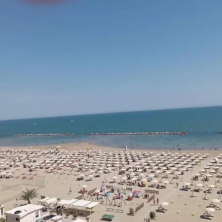 Salsedine 
