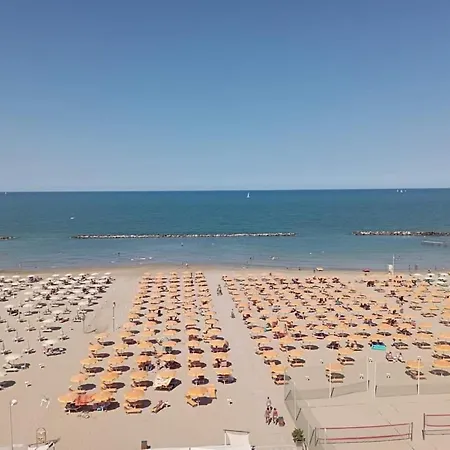 Salsedine 