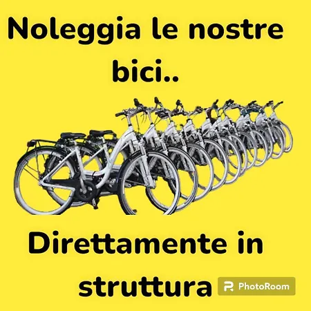 Salsedine 