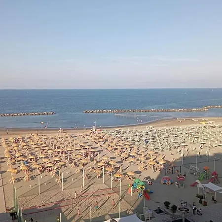Salsedine 