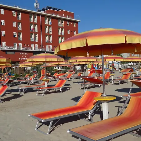Hotel Blumen 3*