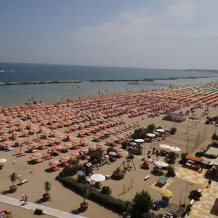 Blumen Rimini