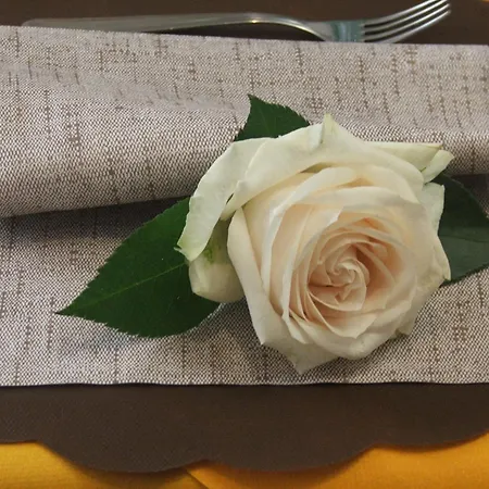 Festival Hotel 2*