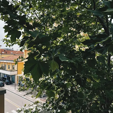 Buena Vista * Rimini