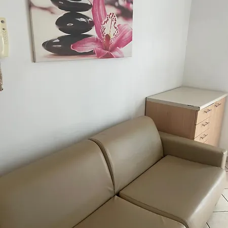 Siesta 3*