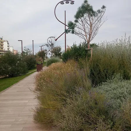 0541 Rimini