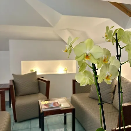 Club House 4*