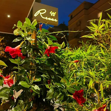 Hotell Ricci 2*