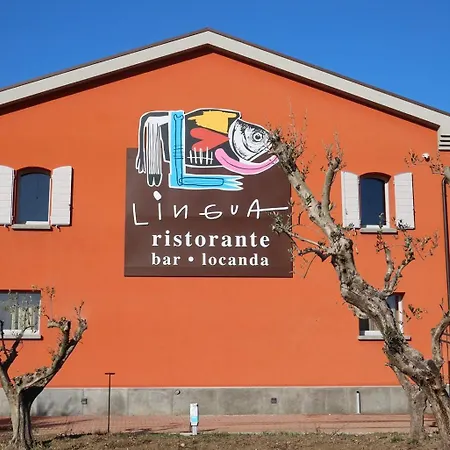 Lingua Rimini