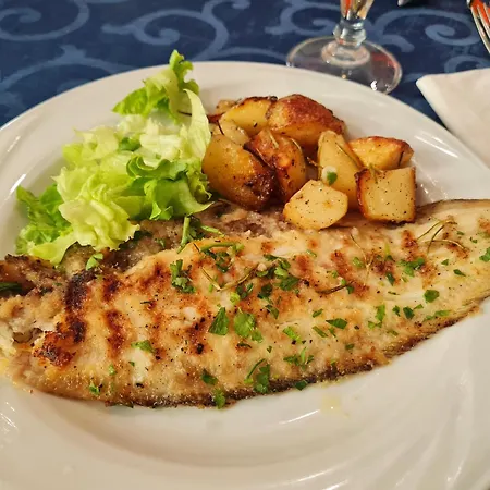 Dear Hotel Rimini