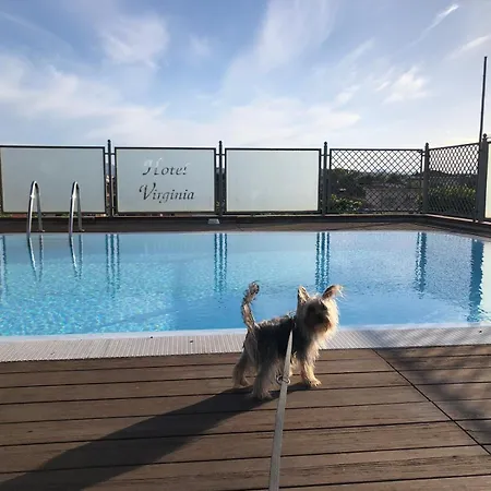 Hotel Pet Virginia - Per Cani Rimini
