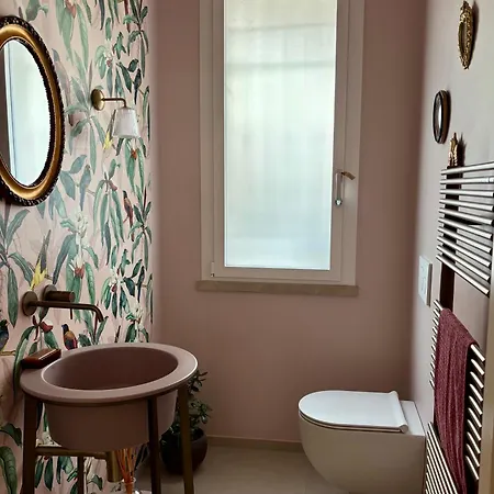 Baki * Rimini