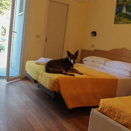 Hotel Pet Virginia - Per Cani 3*
