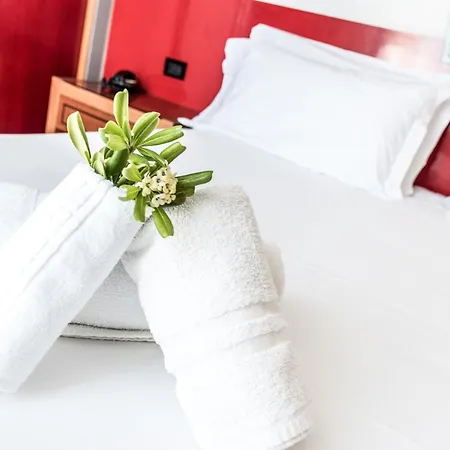 Nettunia Hotel 4*