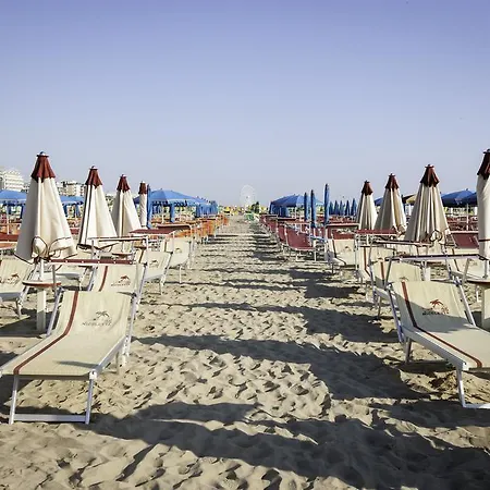 Fellini 3*
