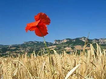 Poggio Duca Rimini