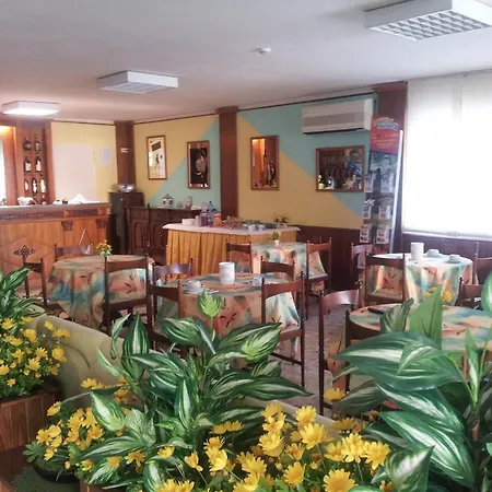 Oletta Hotel Rimini