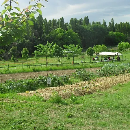Alloggio per agriturismo Mori
