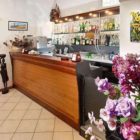 Hotel Adler Rimini