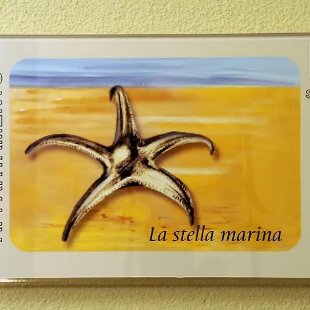 Belmare 4* Rimini