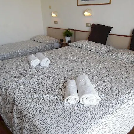 Alpen Hotel 3*