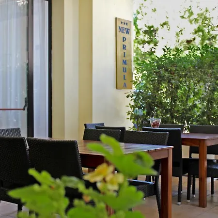 Hotel New Primula Rimini