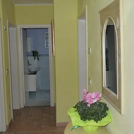 Cara Pace * Rímini