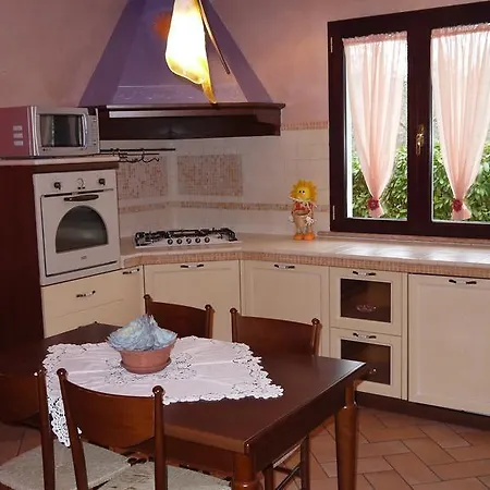 Cara Pace Rimini
